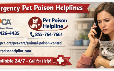 Pet Poison Prevention Month: Hidden Household Dangers Every Pet Owner Should Know